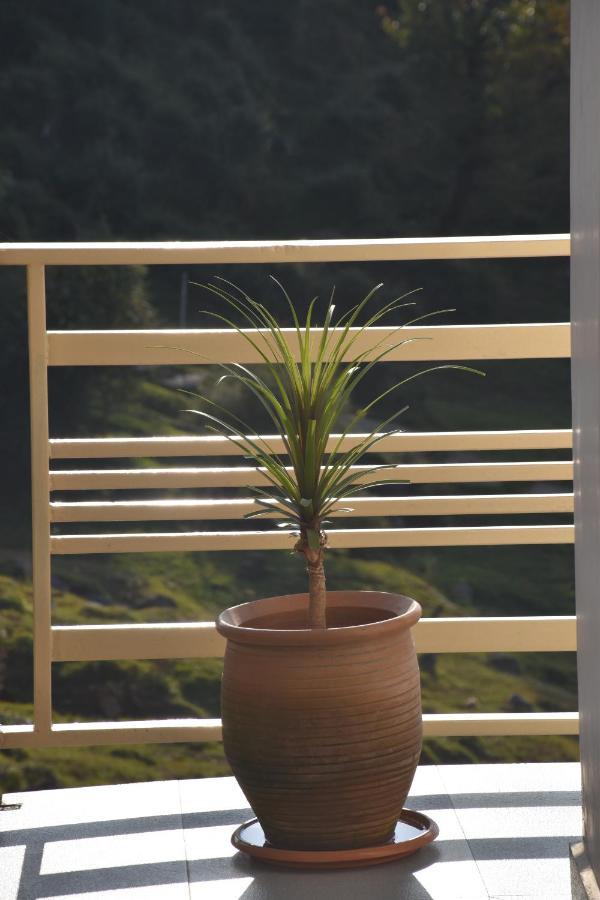 Jot Eco Boutique Stays Dharamshala Buitenkant foto